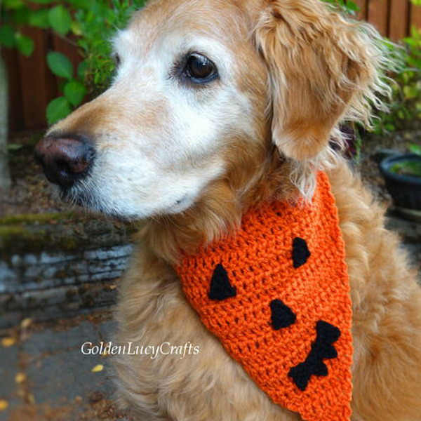 Pumpkin Face Crochet Dog Bandana