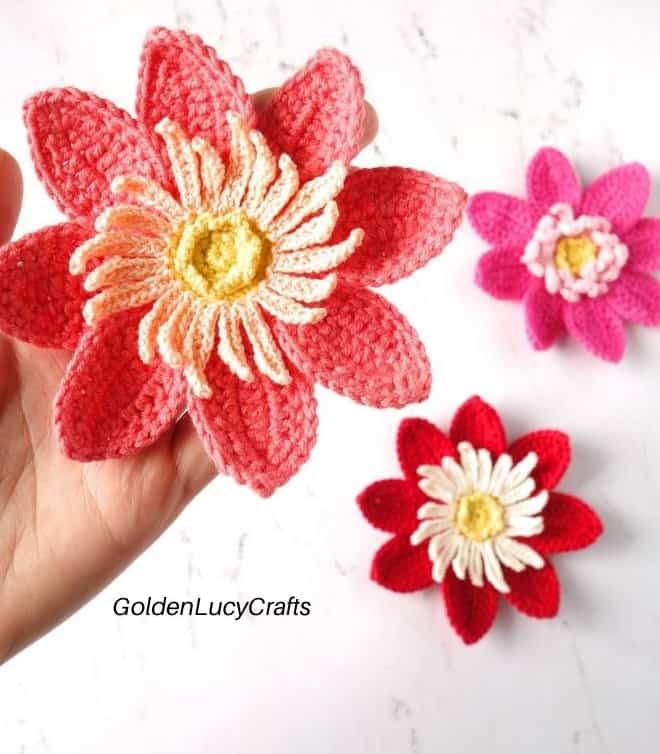 Crochet Dahlia Flower Applique Pattern
