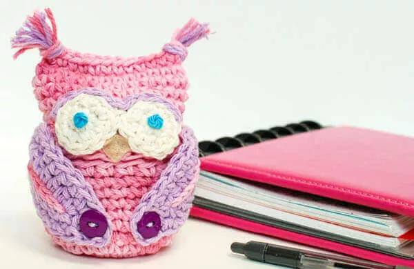 Owl Obsessed Crochet Cozy