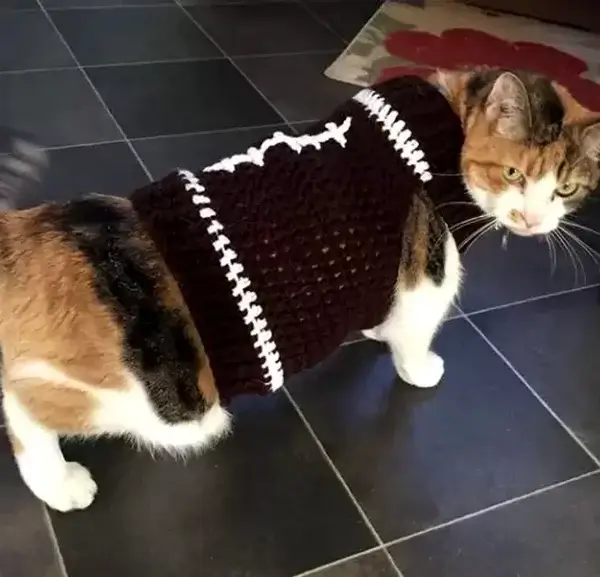 Cat Crochet Football Sweater Pattern