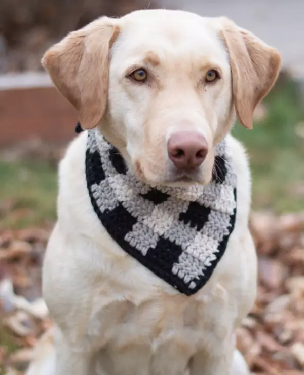Plaid Crochet Dog Bandana Pattern