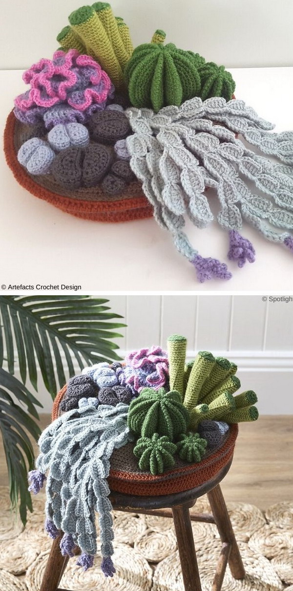 Cactus Garden Free Crochet Pattern
