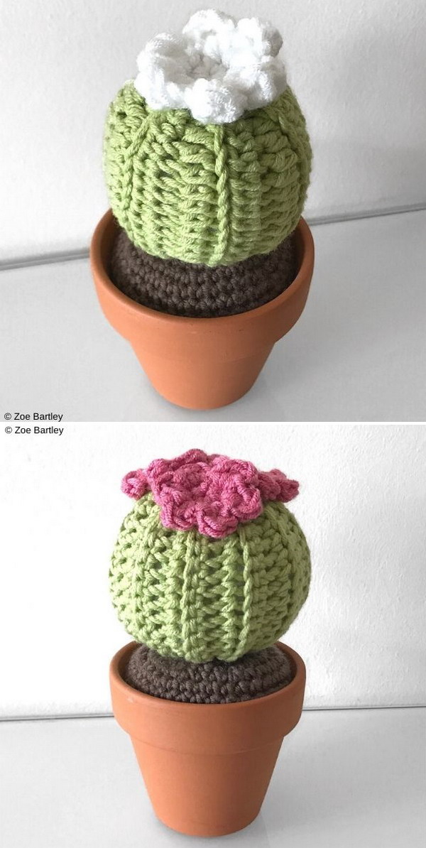 Mini Round Barrel Cactus Free Crochet Pattern