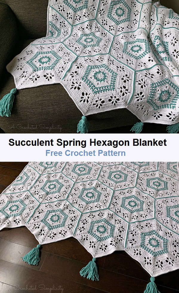 Succulent Spring Hexagon Blanket Free Crochet Pattern