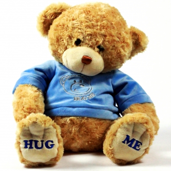 Cuddle me teddy bear