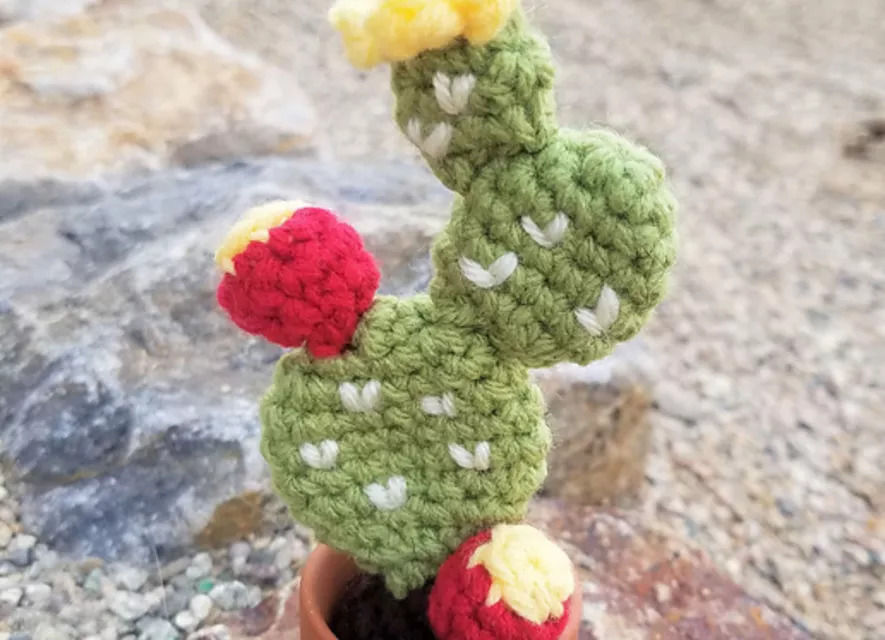 Flowering Prickly Pear Cactus Free Crochet Pattern