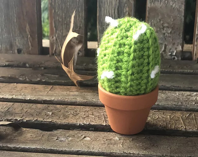 Easy Crochet Cactus Pattern