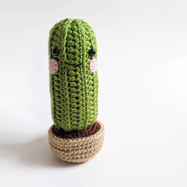 Sally the Crochet Cactus Pattern