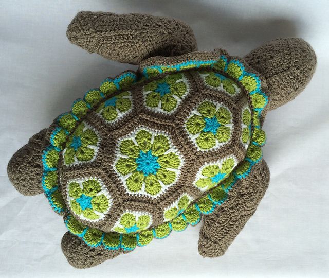 African flower turtle