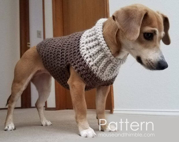 XS To XXL Seamless Earhart Bomber Crochet Dog Sweater Pattern By Mouse and Thimble