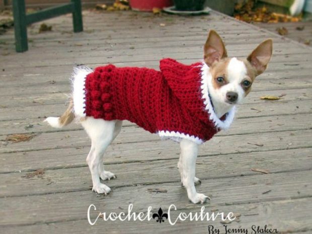 Crochet Dog Hoodie Pattern By Jenny Staker Inspired