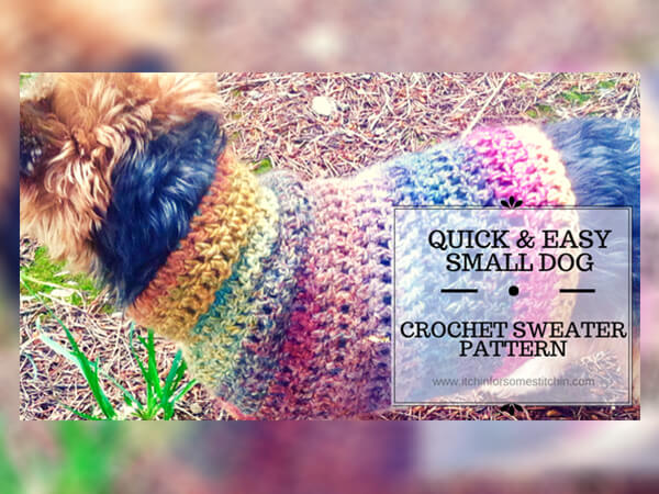 Quick And Easy Small Dog Free Crochet Dog Sweater Pattern By Itchin For Some Stitchin