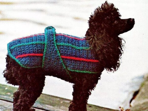 Crochet Dog Sweater Crochet Pattern By Moments In Twine