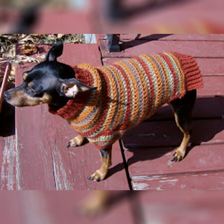 Free Crochet Dog Sweater Pattern By Min Pin Sweaters
