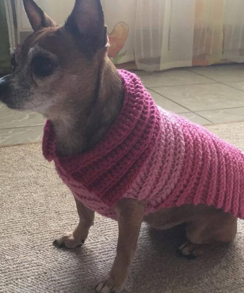 Crochet Dog Sweater Pattern By Everyday Happy Crafts