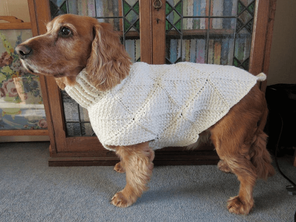 Tunisian Crochet Dog Sweater Pattern By By Gill Bux