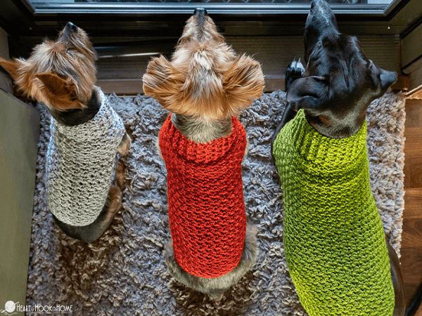 Dandy Dog Sweater Crochet Pattern By Heart Hook Home