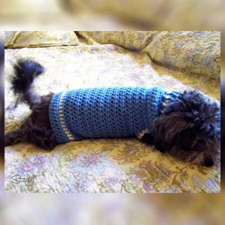 Small Crochet Dog Coat Pattern By Stitch 11 Crochet