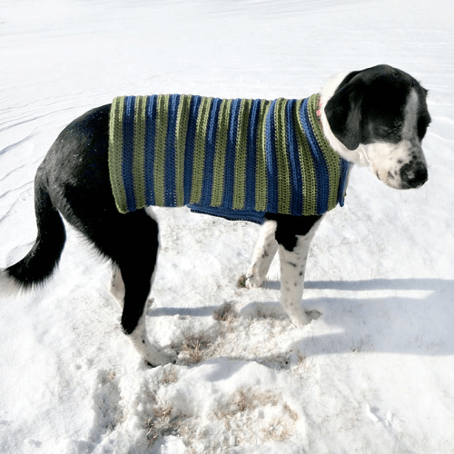 Easy Adjustable Crochet Dog Sweater Pattern By Crochet Spot Patterns