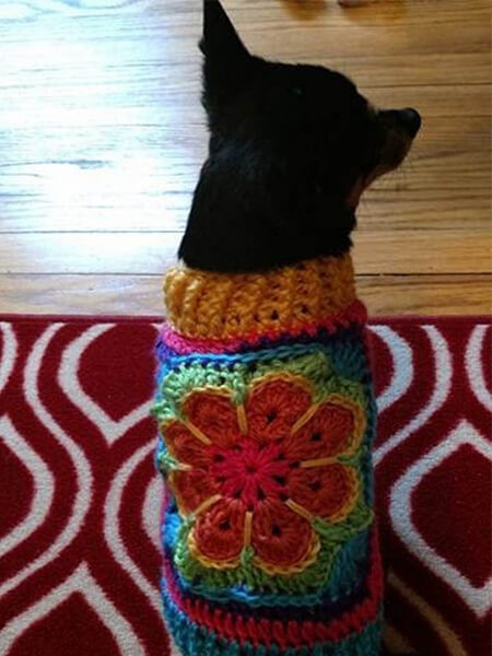 Square Motif Crochet Dog Sweater With Legs Diy Tutorial By Fcwhimsey