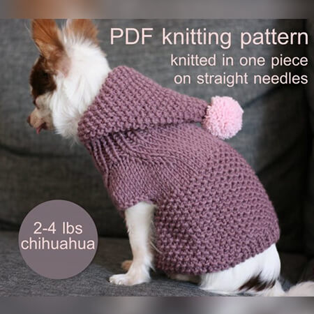 Toy chihuahua dog hoodie pattern by because of crochet A