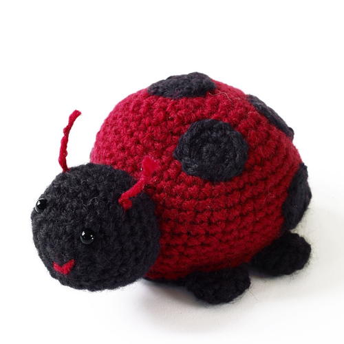 Lorelei the Lady Bug