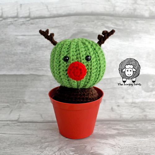 Randy the Reindeer Cactus