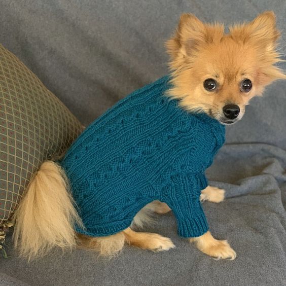 Crochet dog sweater with legs