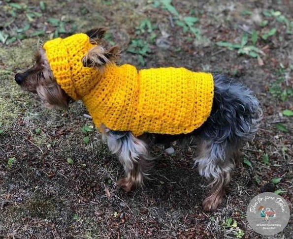Small Dog Hoodie Sweater
