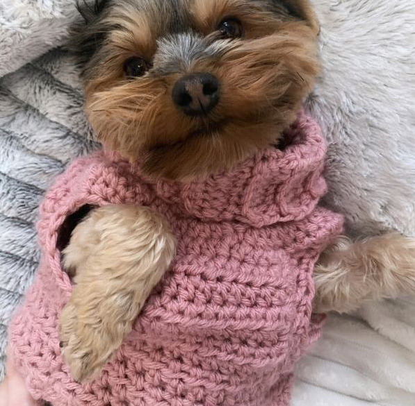 Minnie’s turtleneck dog sweater