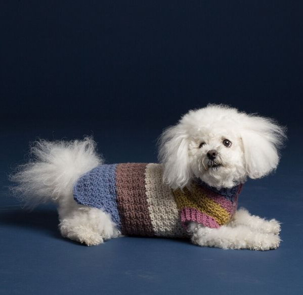 Textured Dog Coat