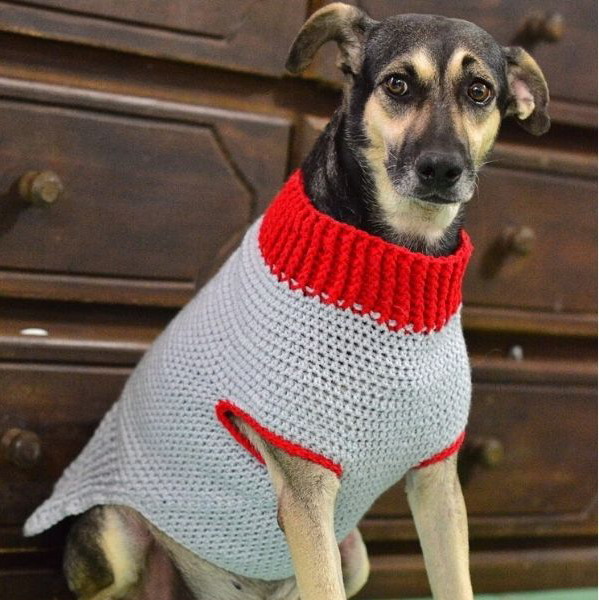 Dog Sweater