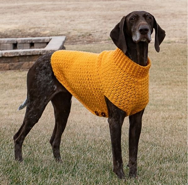 Large Dog Sweater