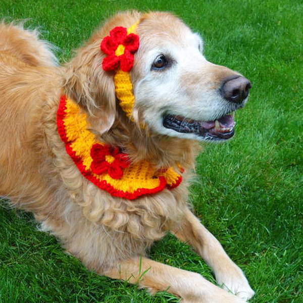 Crochet Dog Collar And Headband