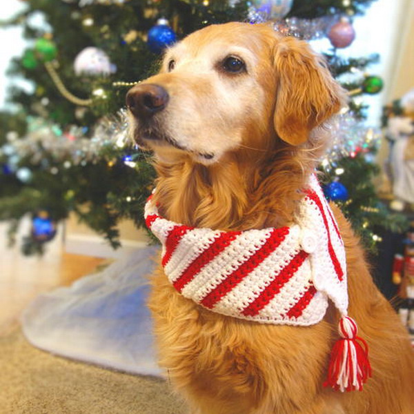 Crochet Christmas Candy Cane Dog Scarf