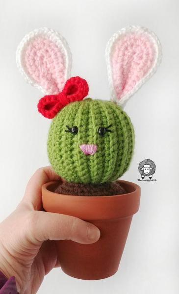 Penny the Bunny Cactus