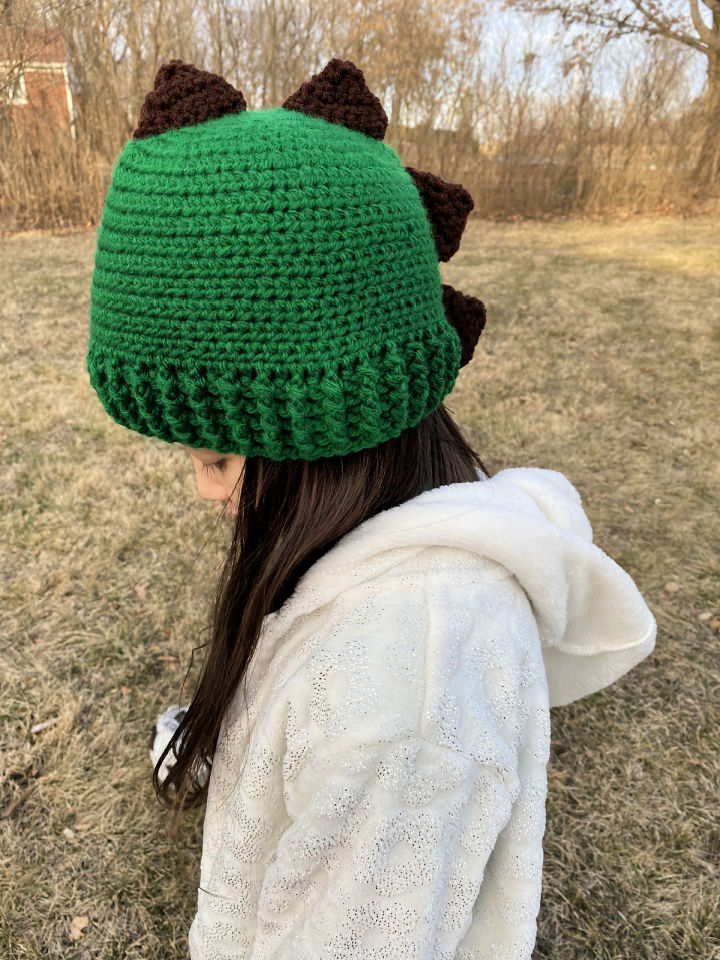 Crochet Dinosaur Hat Pattern