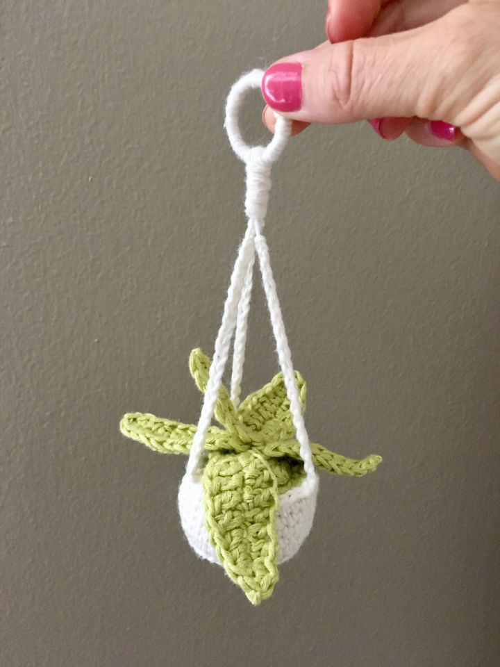 Mini Plant Hanger Crochet Pattern