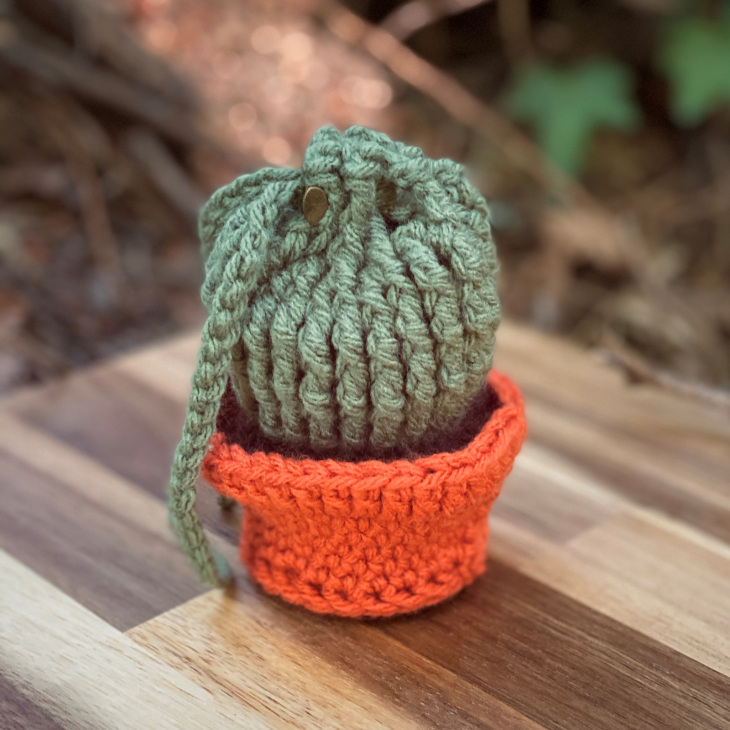 Potted Cactus Dice Bag