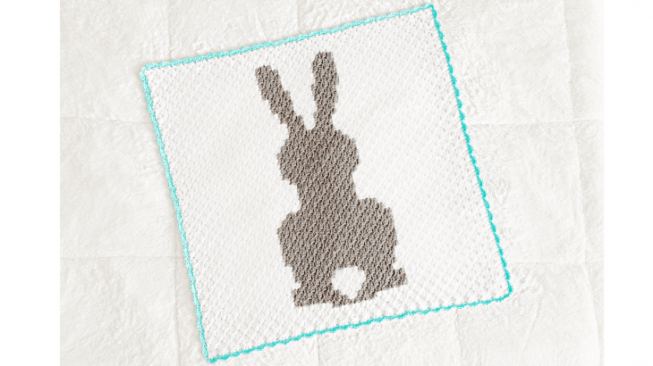 Baby Bunny Blanket