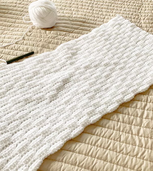 Easy Waves Crochet Blanket Pattern