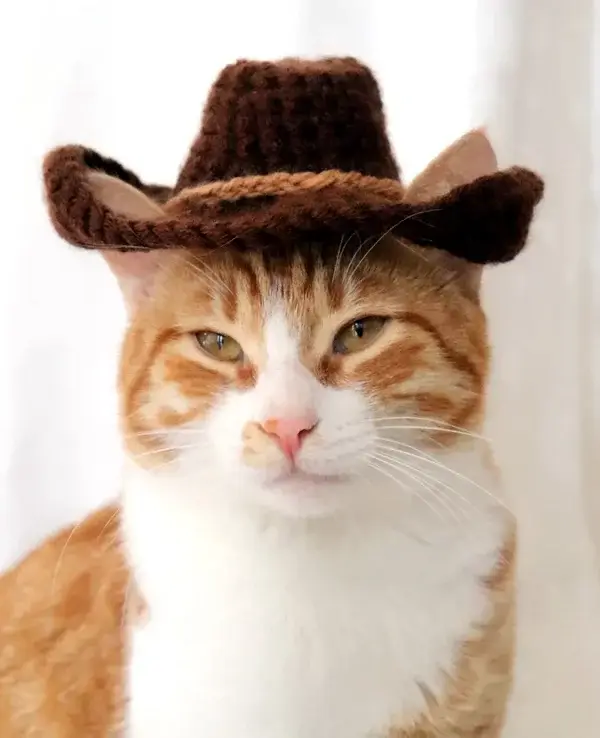 Cowboy Hat For Cats Crochet Pattern