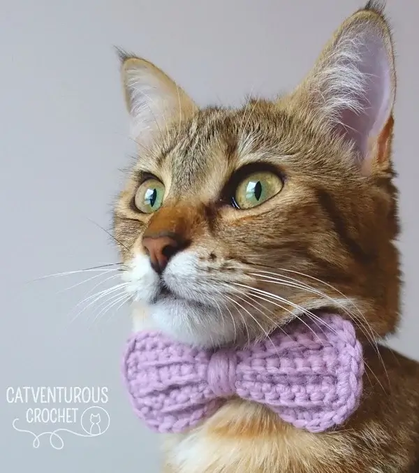 Crochet Cat Bow Tie Pattern