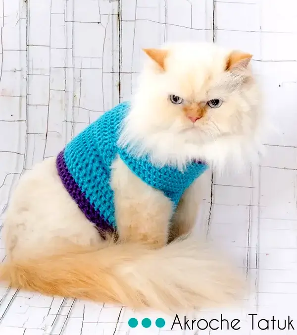 Crochet Cat Sweater Pattern