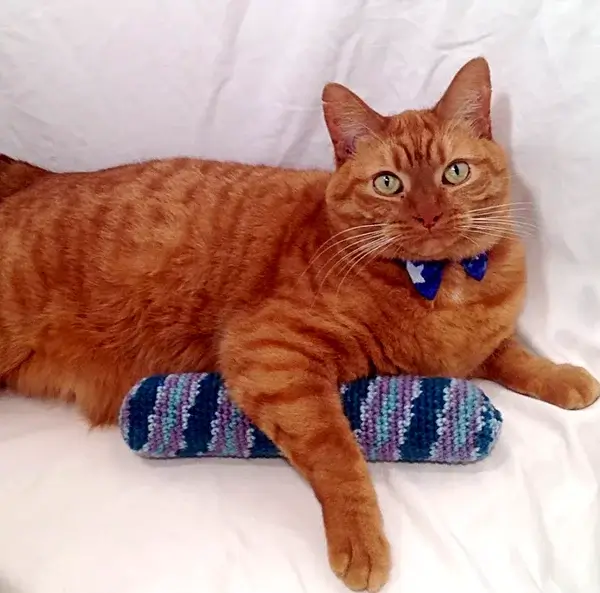 Crochet Catnip Kick Stick Cat Toy Pattern