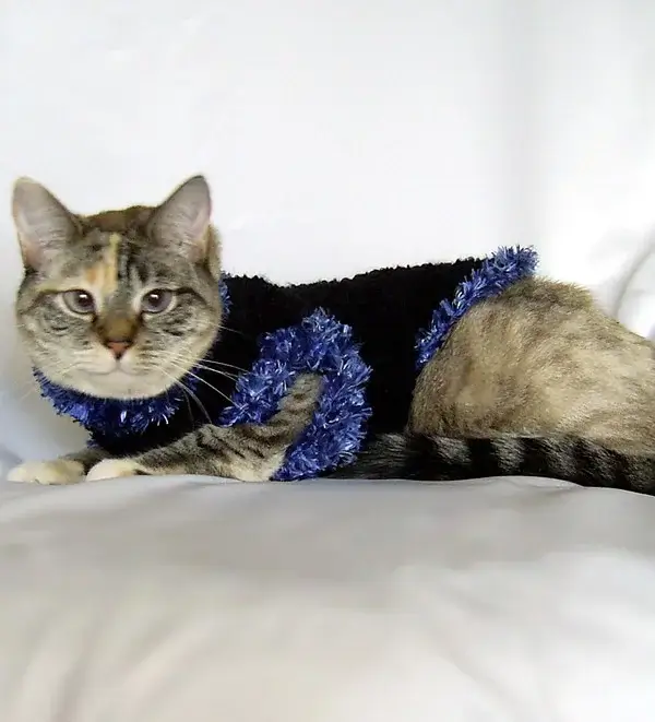 Crochet Fur Trimmed Pet Sweater Pattern