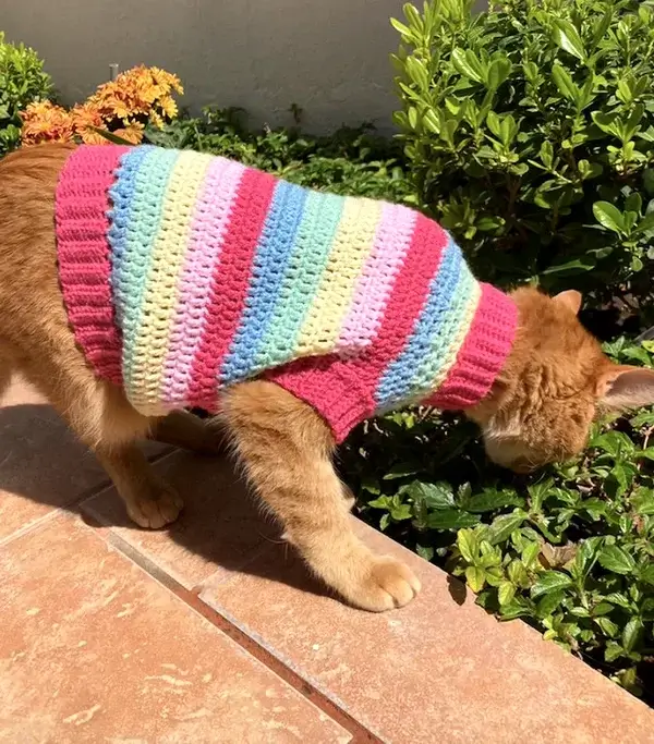 Crochet Rainbow Cat Sweater Pattern