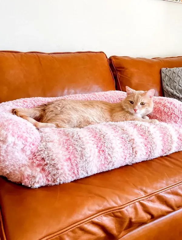 Peanut's Cat Couch Crochet Pattern