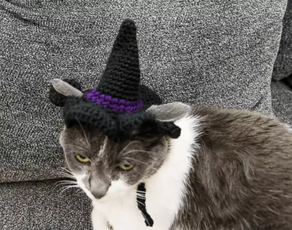 Cat Crochet Witch Hat Pattern