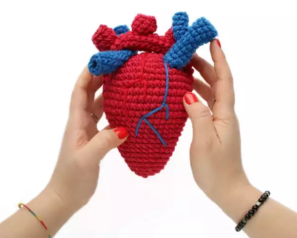 Anatomical heart crochet